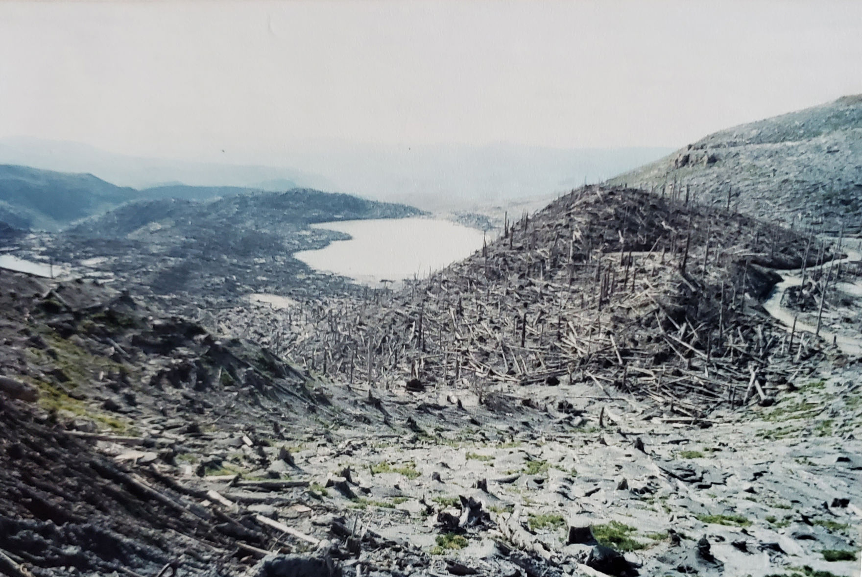 200516.Mount St. Helens 4.jpg